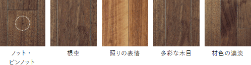 朝日ウッドテック フローリング カタログ 激安 価格 フローリング材（床材）ライブナチュラル(ピュアハード塗装） ライブナチュラルピュアハード塗装） ブラックウォルナット/Black Walnut　キャラクター
